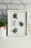 Turtle Shadowbox "Follow You Own Path"