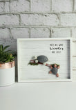 Turtle Shadowbox "Not All Who Wander Are Lost"