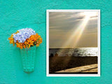 Rays of Light Art Print 11X14